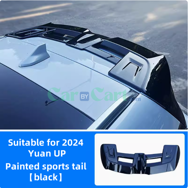2024 Yuan UP rear wing