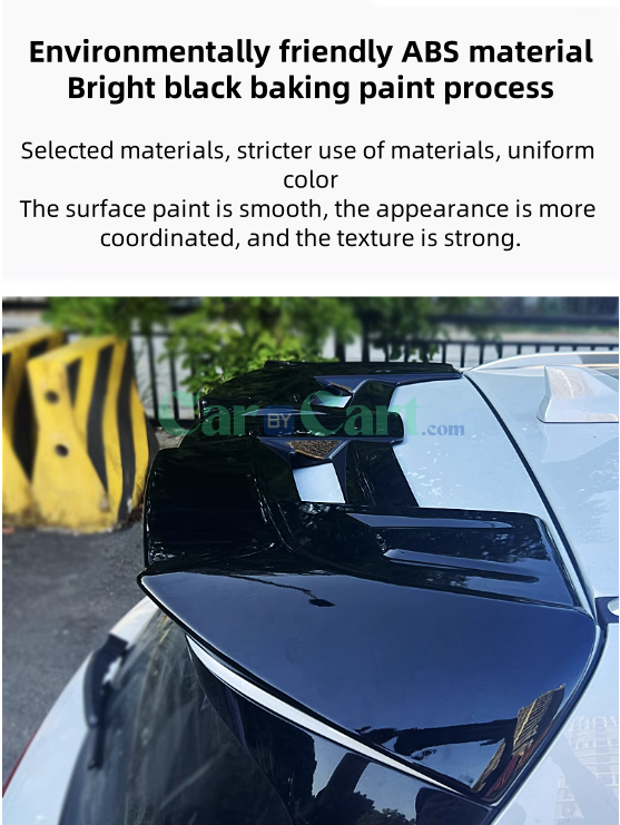 2024 Yuan UP rear wing