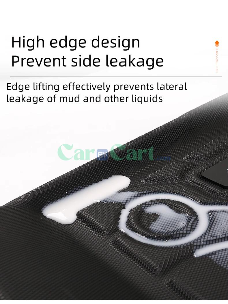 2025 HAVAL H5 TPE foot pad