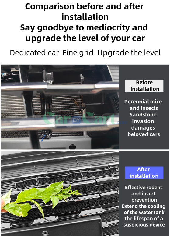 2024 SONG L DM-i insect net