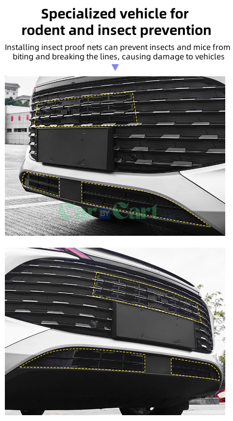 2024 SONG L DM-i insect net