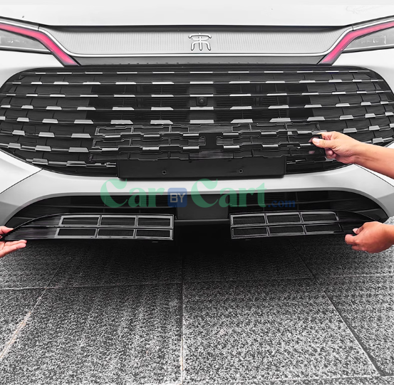 2024 SONG L DM-i insect net