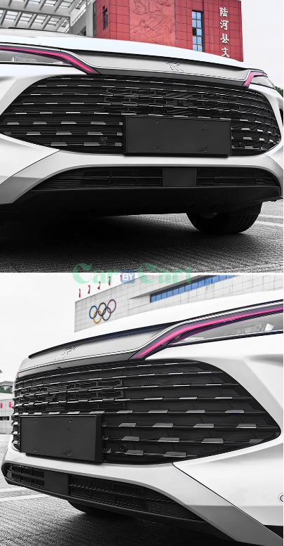 2024 SONG L DM-i insect net