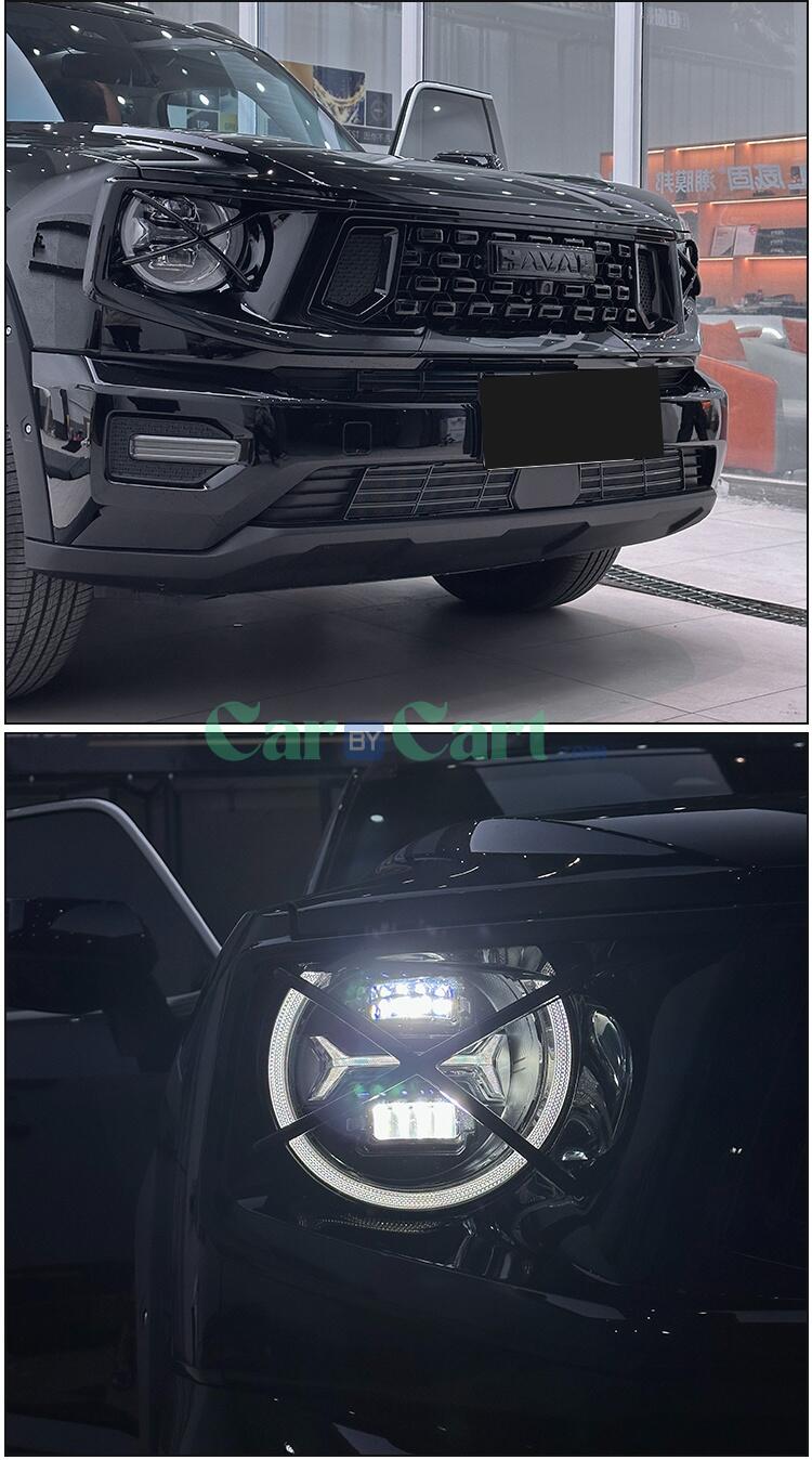 2024 الجيل الثاني من طقم الديكور الخارجي للكلاب الكبيرة PHEV المصبغة السوداء