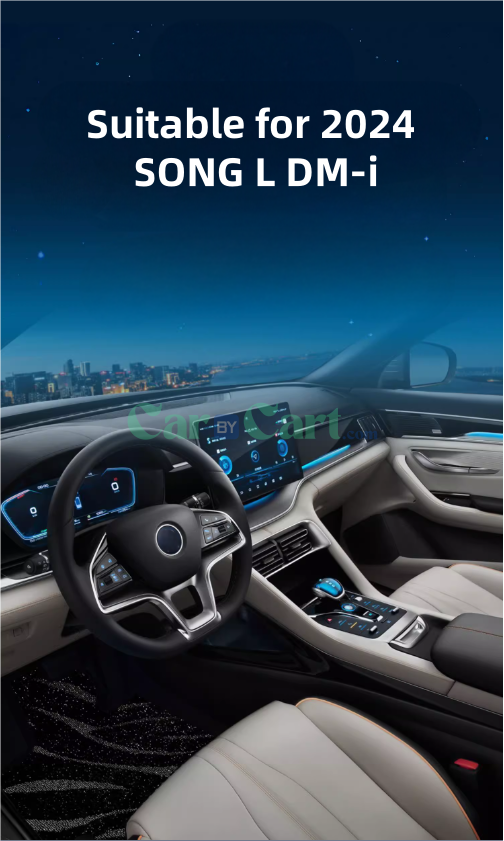 2024 SONG L DM-i Floor mat