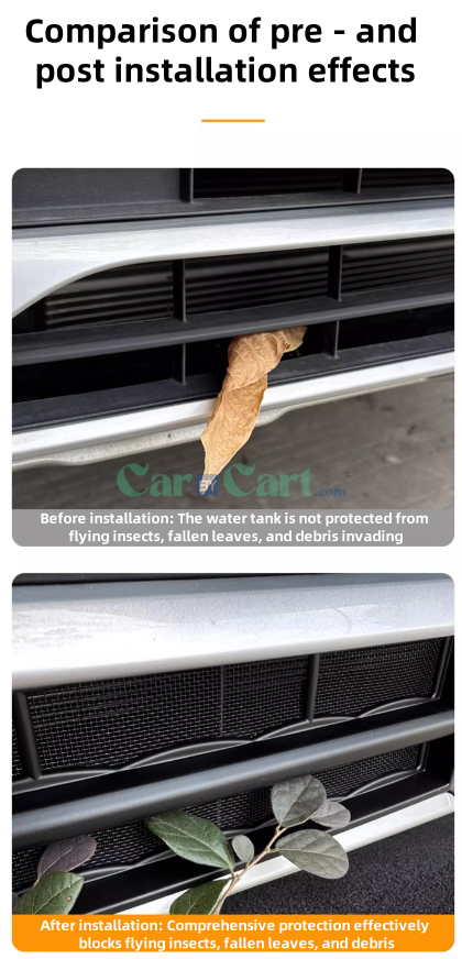 2024 SONG PRO DM-i Honor insect net