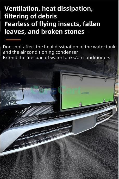 2024 SONG PRO DM-i Honor insect net