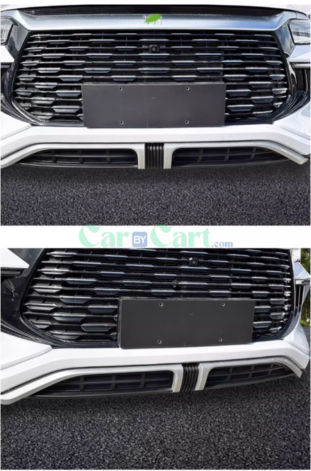 2024 SONG PRO DM-i Honor insect net