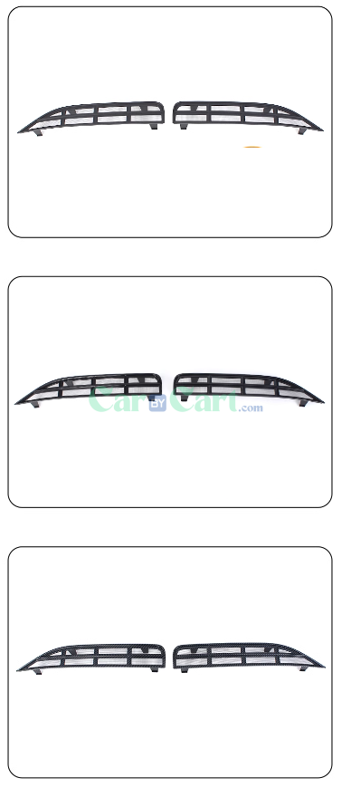 2024 SONG PRO DM-i Honor insect net