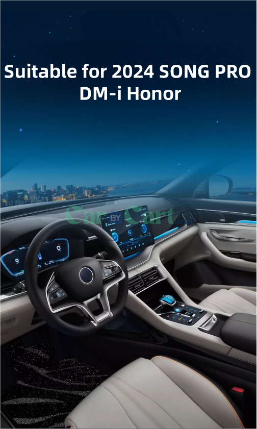 2024 SONG PRO DM-i Honor floor mat