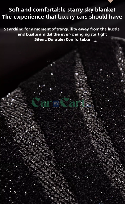 2024 SONG PRO DM-i Honor floor mat