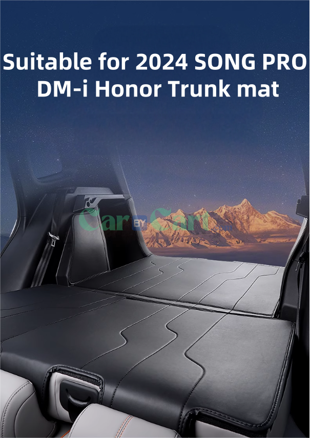 2024 SONG PRO DM-i Honor Trunk mat