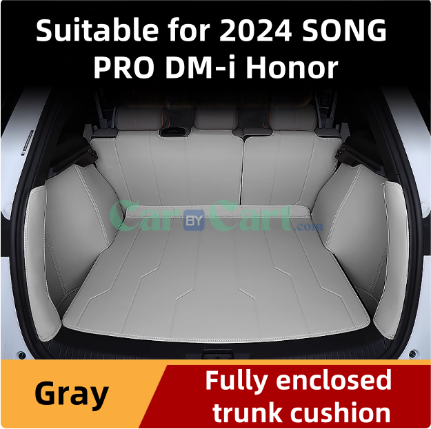 2024 SONG PRO DM-i Honor Trunk mat