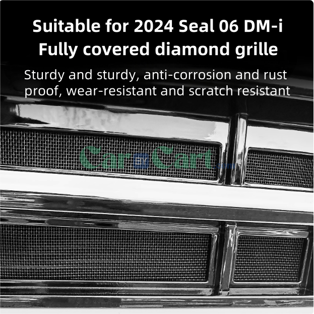 2024 Seal 06 DM-i Insect nets