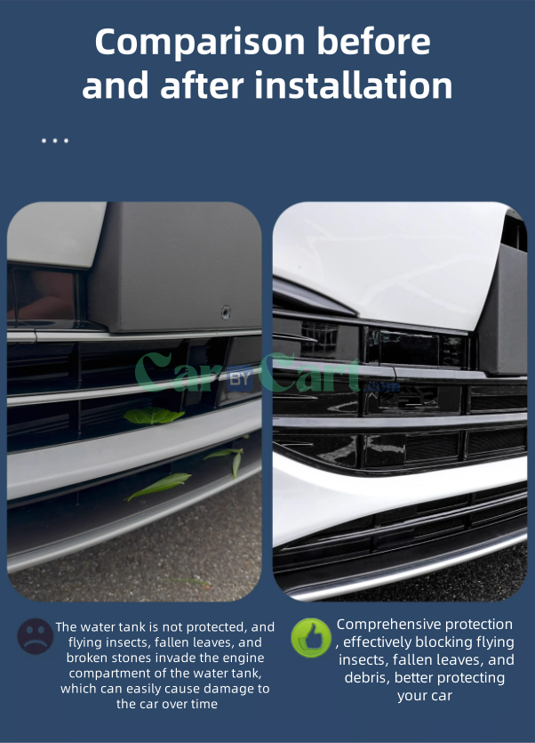 2024 Seal 06 DM-i Insect nets