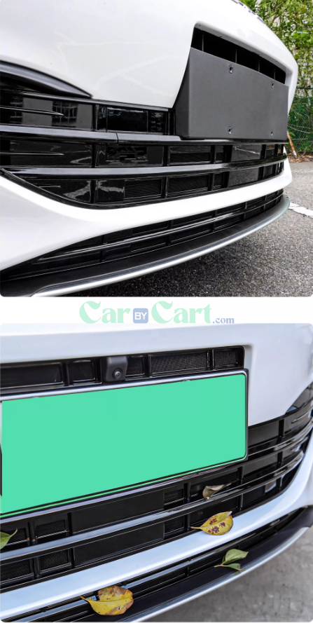 2024 Seal 06 DM-i Insect nets