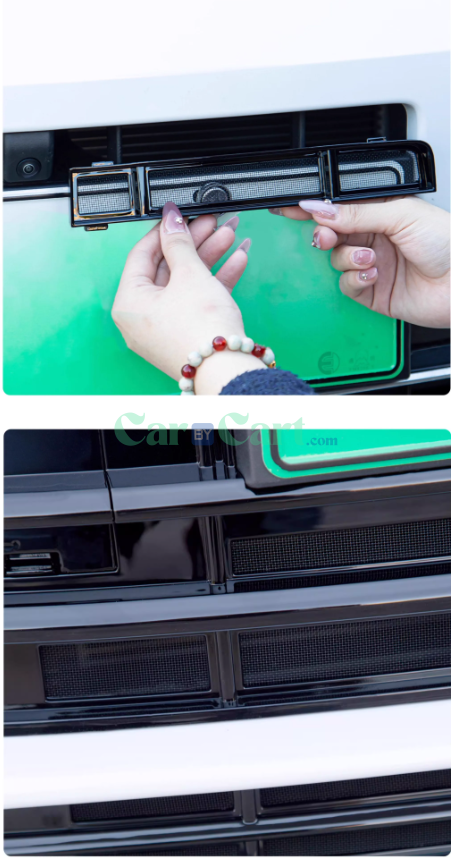 2024 Seal 06 DM-i Insect nets