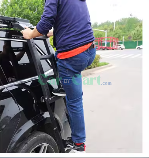 2025 بي واي دي سونغ إل EV ستيك حديد زكي سلم قابل للطي.