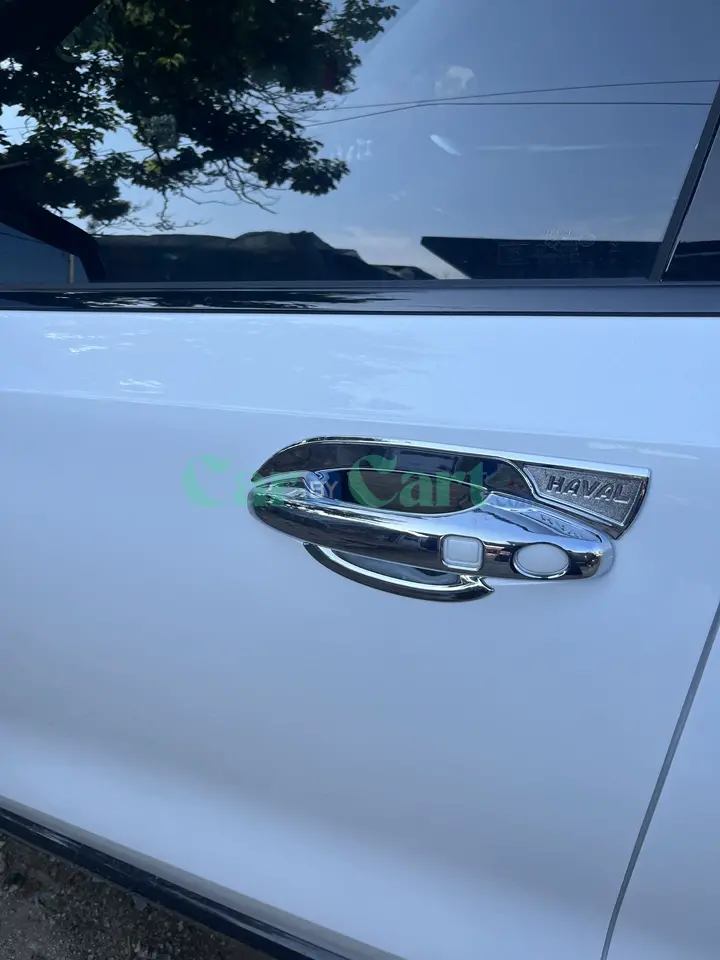 2024 HAVAL H6 Door handle+door bowl protective shell