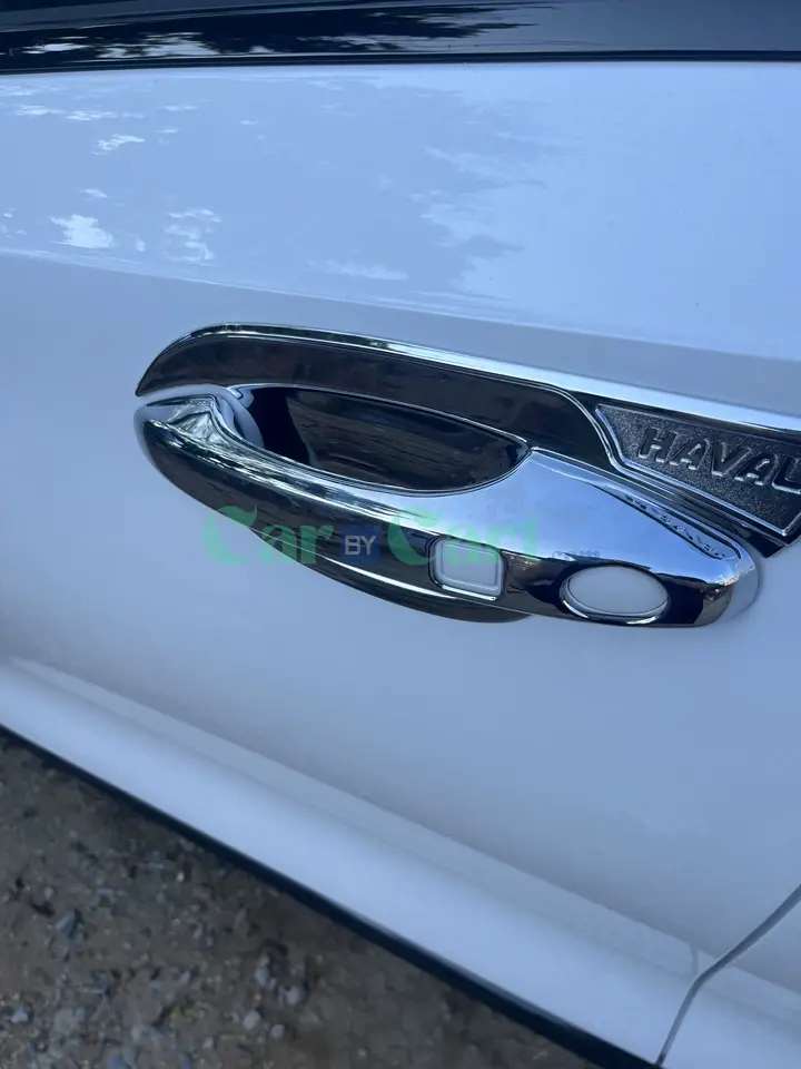 2024 HAVAL H6 Door handle+door bowl protective shell