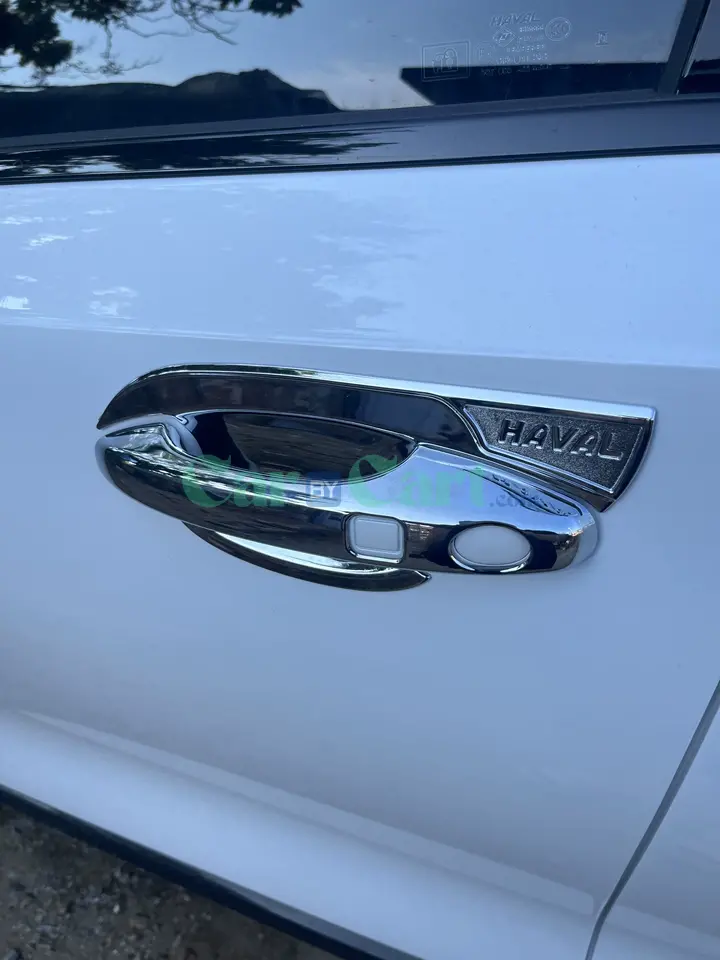 2024 HAVAL H6 Door handle+door bowl protective shell