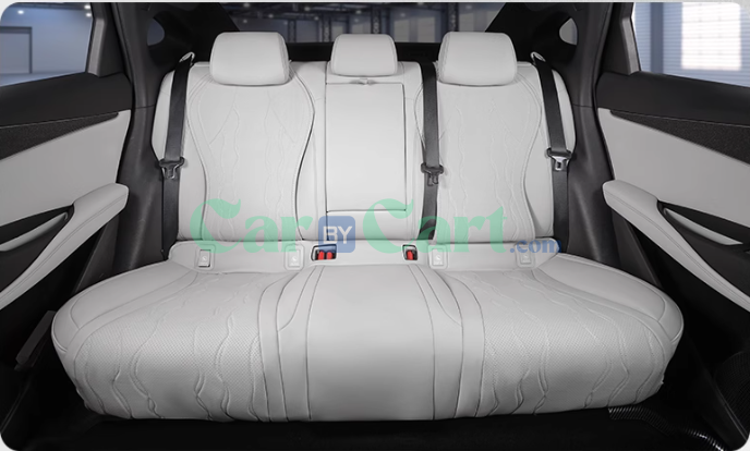 غطاء مقعد 2024 Seal 06 DM-i