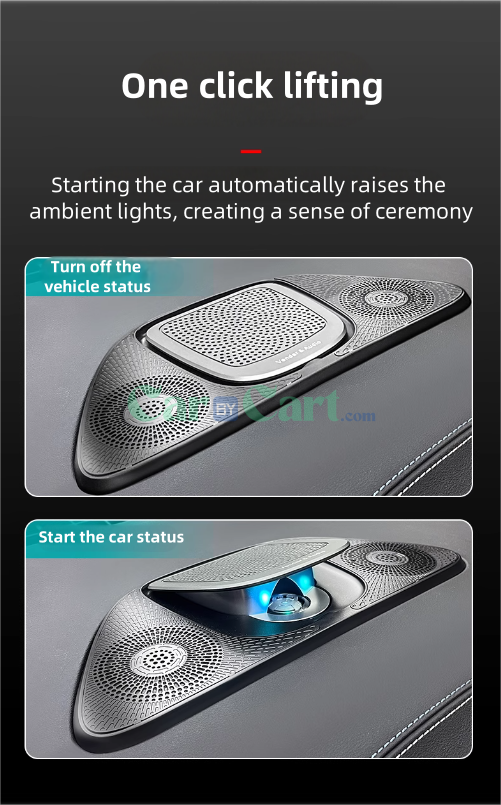 2024 سيل 06 DM-i مكبر صوت