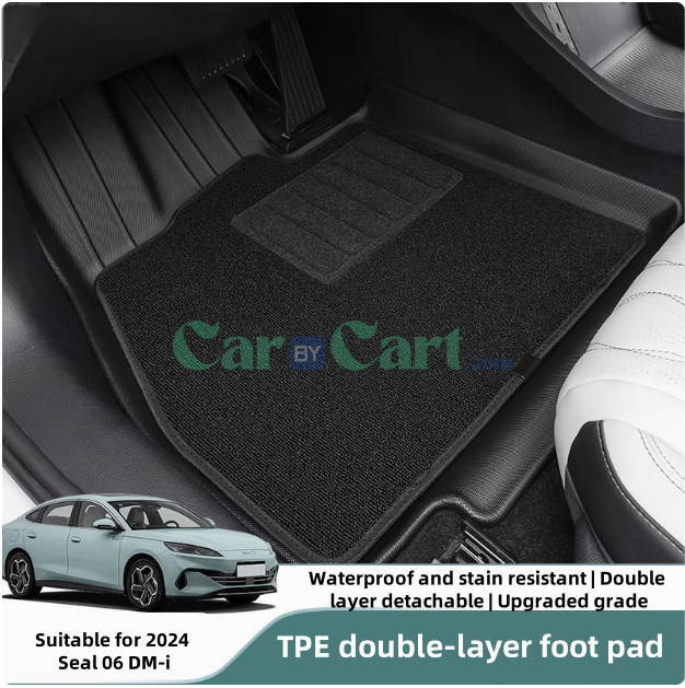 سجادة أرضية DM-i 2024 Seal 06