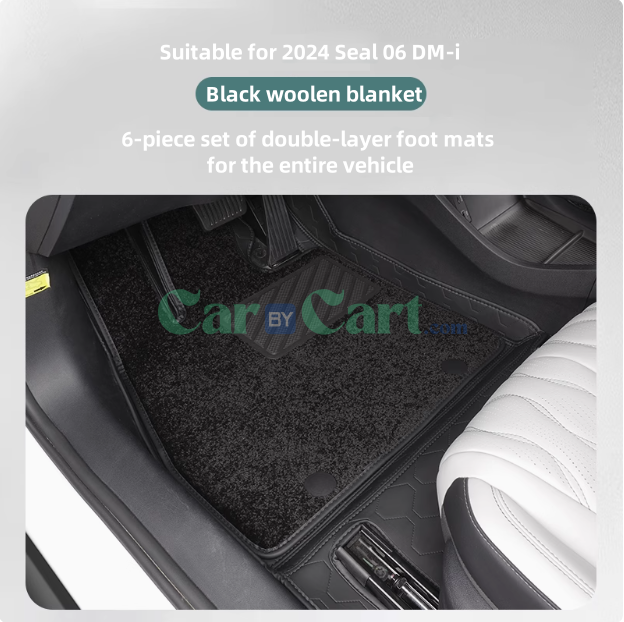 سجادة أرضية DM-i 2024 Seal 06