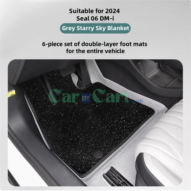 سجادة أرضية DM-i 2024 Seal 06