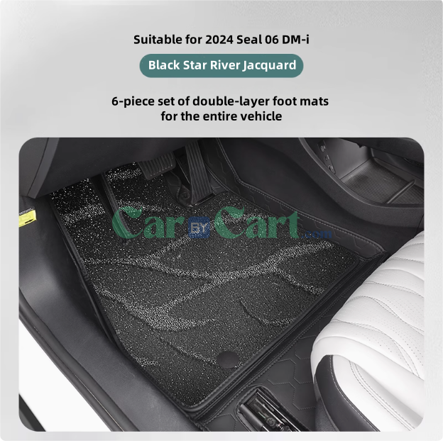 سجادة أرضية DM-i 2024 Seal 06