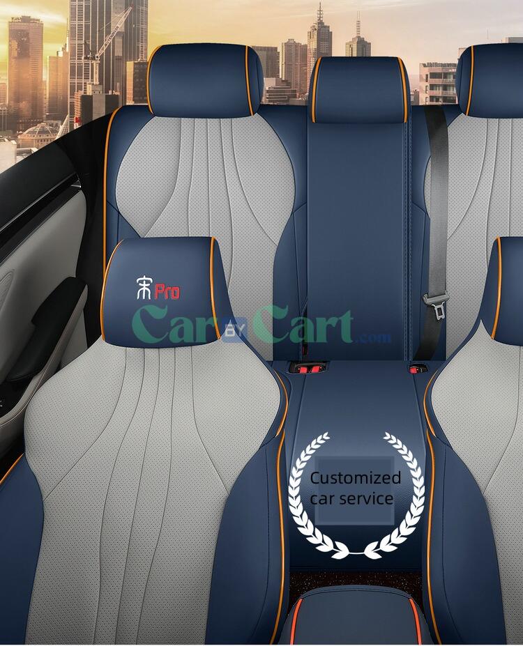 2025 BYD Song Pro DM-i وسادة مقعد إصدار كرتون