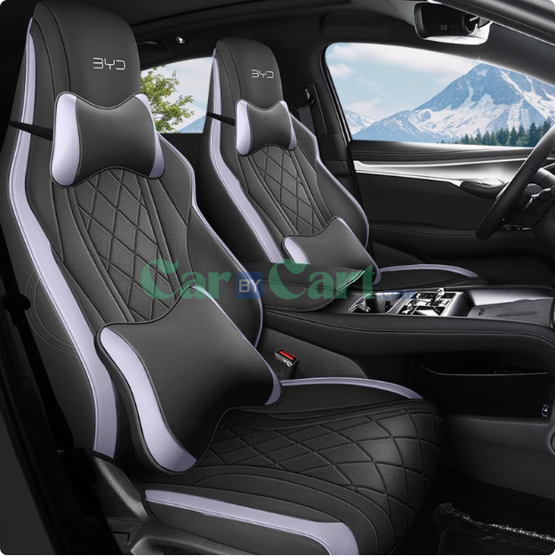 غطاء مقعد 2024 Sea Lion 07 EV