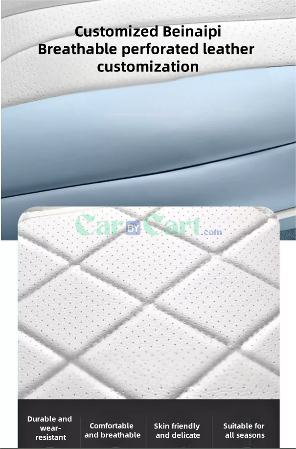 غطاء مقعد 2024 Sea Lion 07 EV