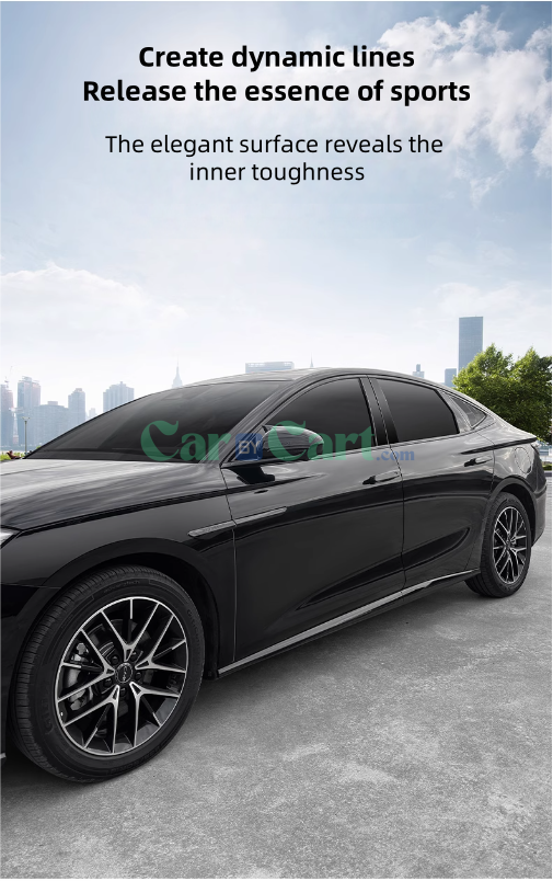 2025 Seal 07 DM-i Black Knight Appearance Kit