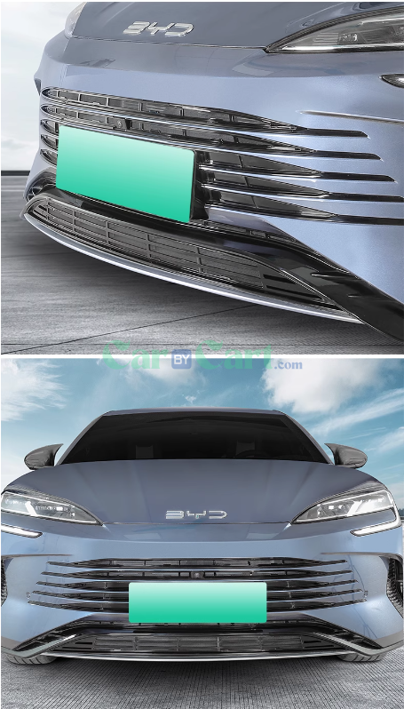 2025 Seal 07 DM-i insect net