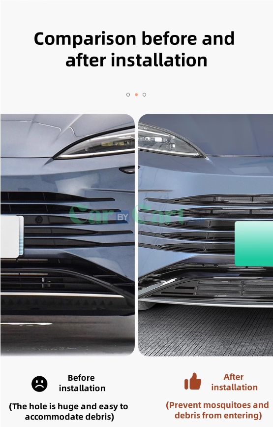 2025 Seal 07 DM-i insect net