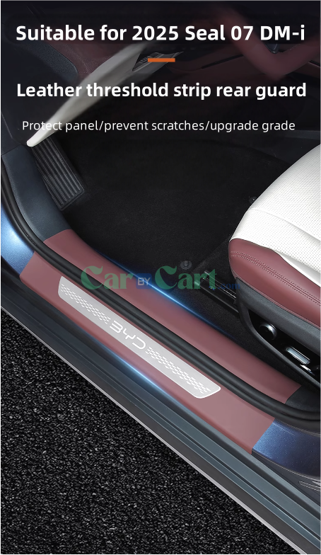 2025 سيل 07 DM-i حافة الباب و لوحة حراسة خلفية