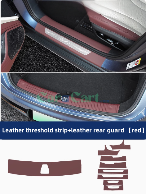 2025 سيل 07 DM-i حافة الباب و لوحة حراسة خلفية