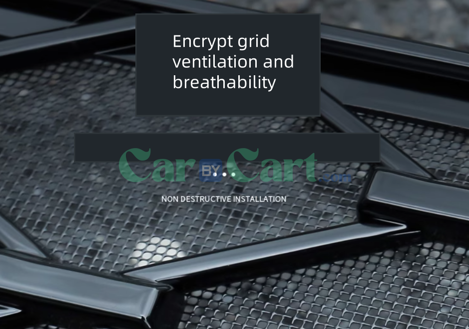 2025 BYD يوان بلس شبكة حشرات ذكية مدمجة تتركب بسهولة