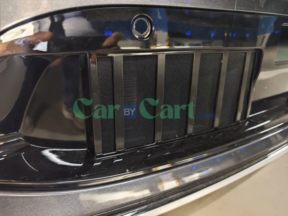 2024 Avatr 12 insect proof net