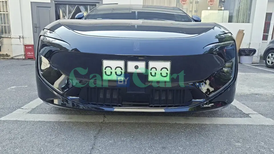 2024 Avatr 12 insect proof net