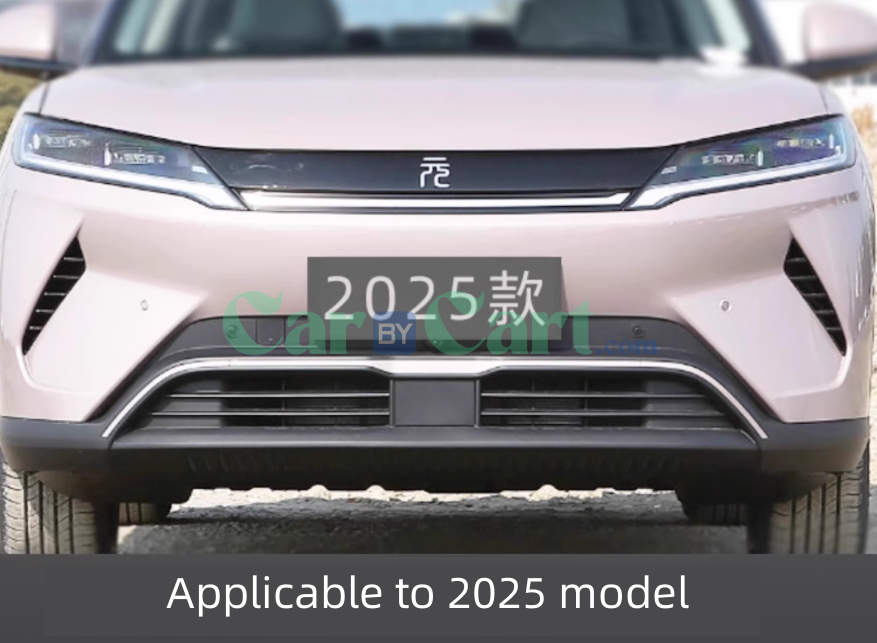 2025 BYD Yuan UP Smart Painted black insect proof net