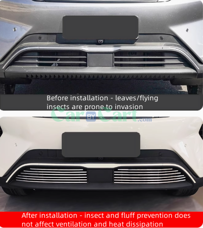 شبكة سوداء مطلية ضد الحشرات لسيارة 2025 BYD Yuan UP الذكية.