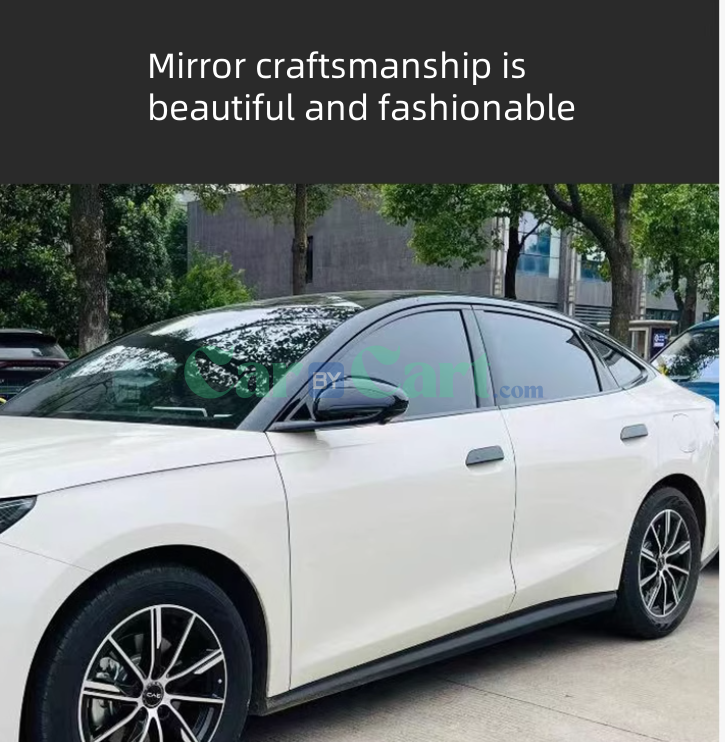 2025 BYD Seal 06DM-i Complete set of Black Warrior decorative strips