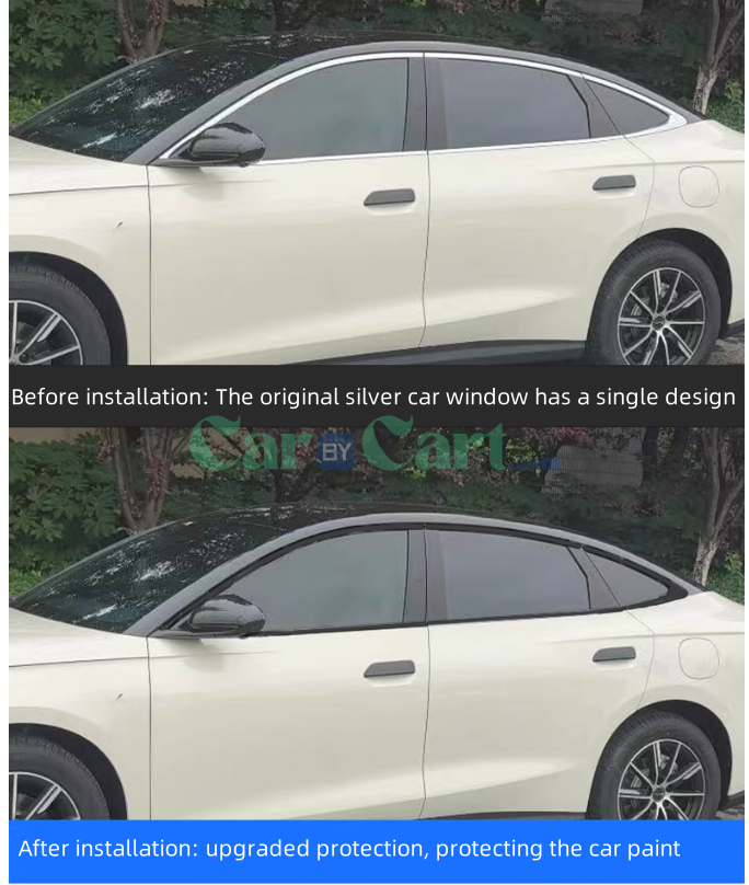 2025 BYD Seal 06DM-i Complete set of Black Warrior decorative strips