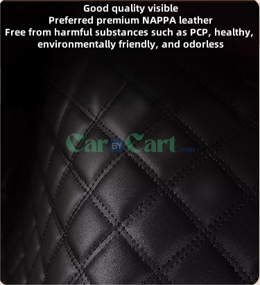 2024 QIN L DM-i floor mat