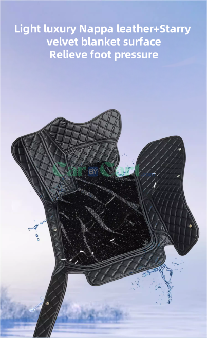 2024 QIN L DM-i floor mat