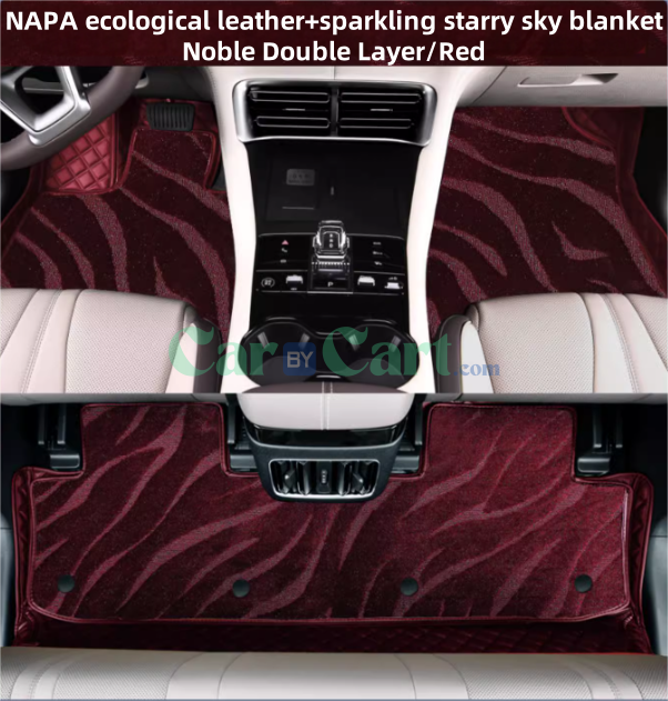 2024 QIN L DM-i floor mat