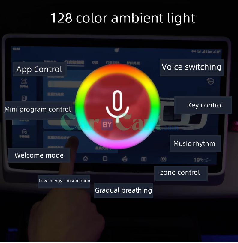 2025 BYD Seal 06DM-i Central control+four door -8 light source ambient light